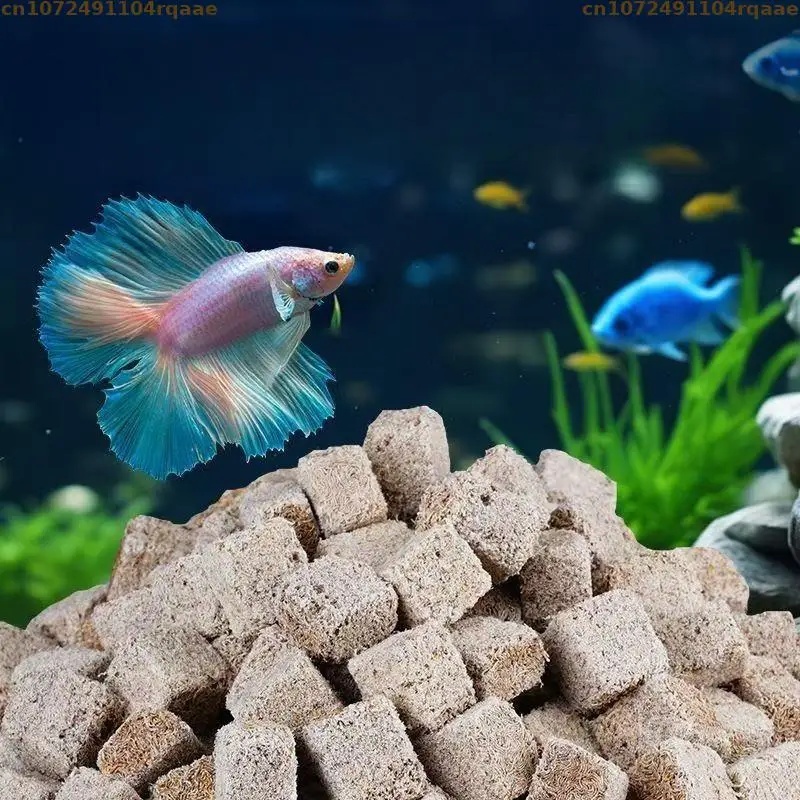 Cubos de lombrices de sangre l - Marine Aquarium Cube reseña y precio