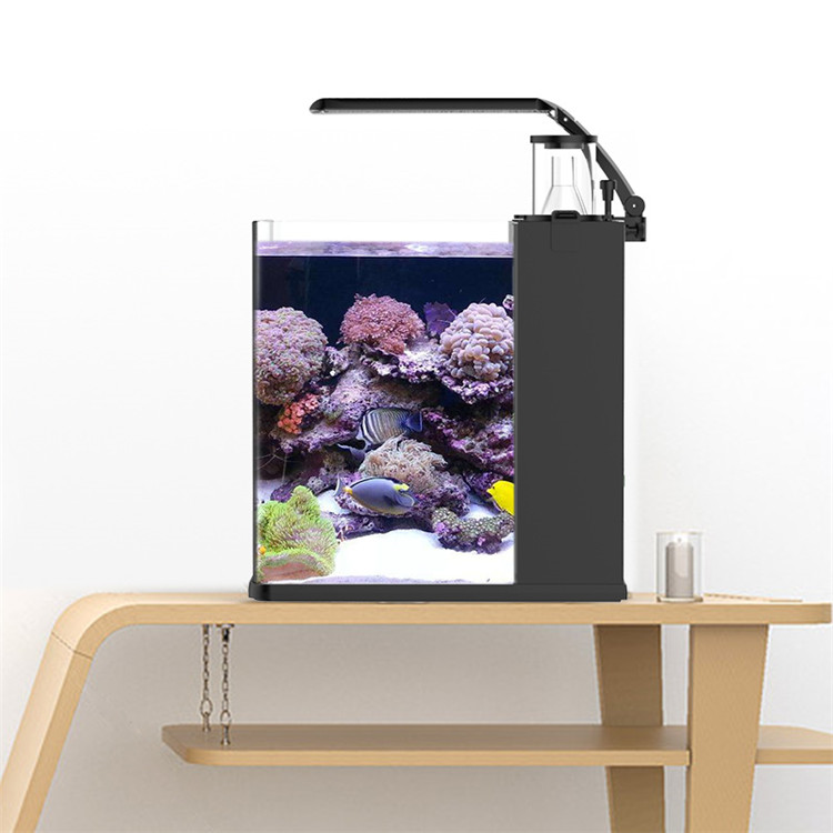 Skynuo Ultra Clear Glass Mini  - Marine Aquarium Cube reseña y precio