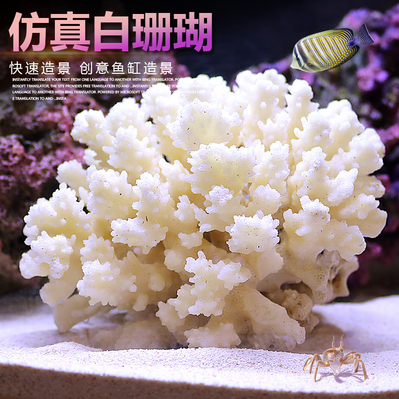 Set de Decoración para Acuario - Marine Aquarium Epoxy reseña y precio
