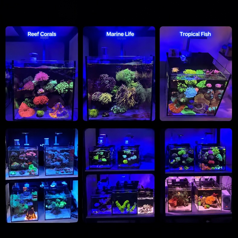 Lámpara LED para acuarios de a - Reef Lighting reseña y precio