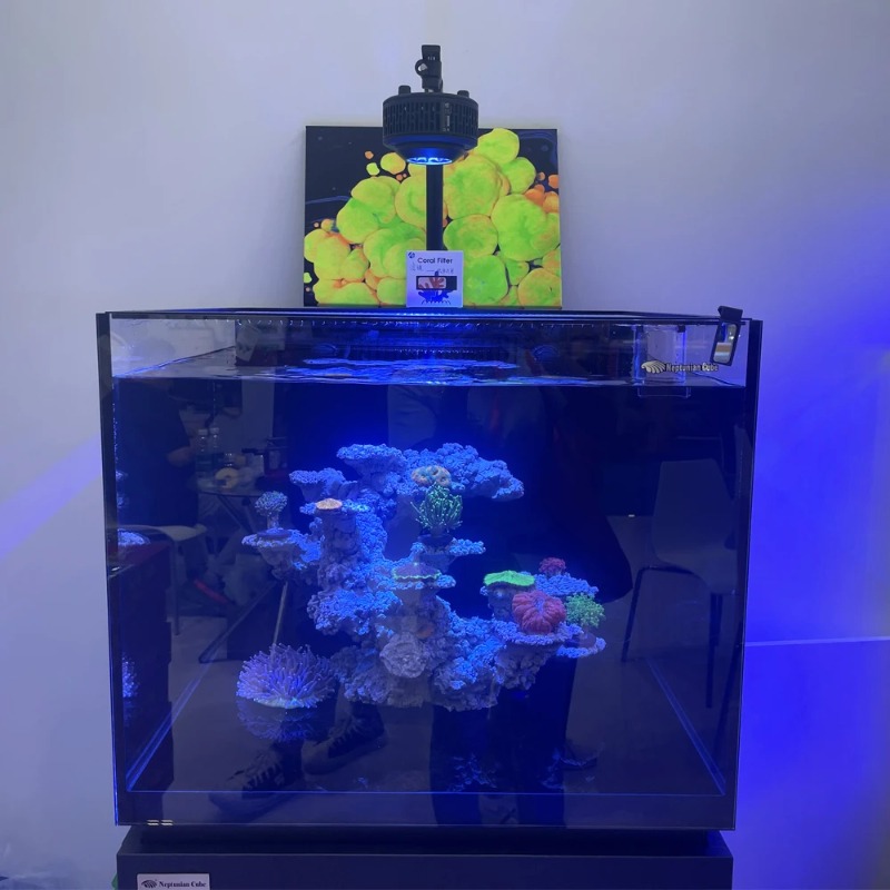Luces LED para Acuario de Espe - Reef Lighting reseña y precio